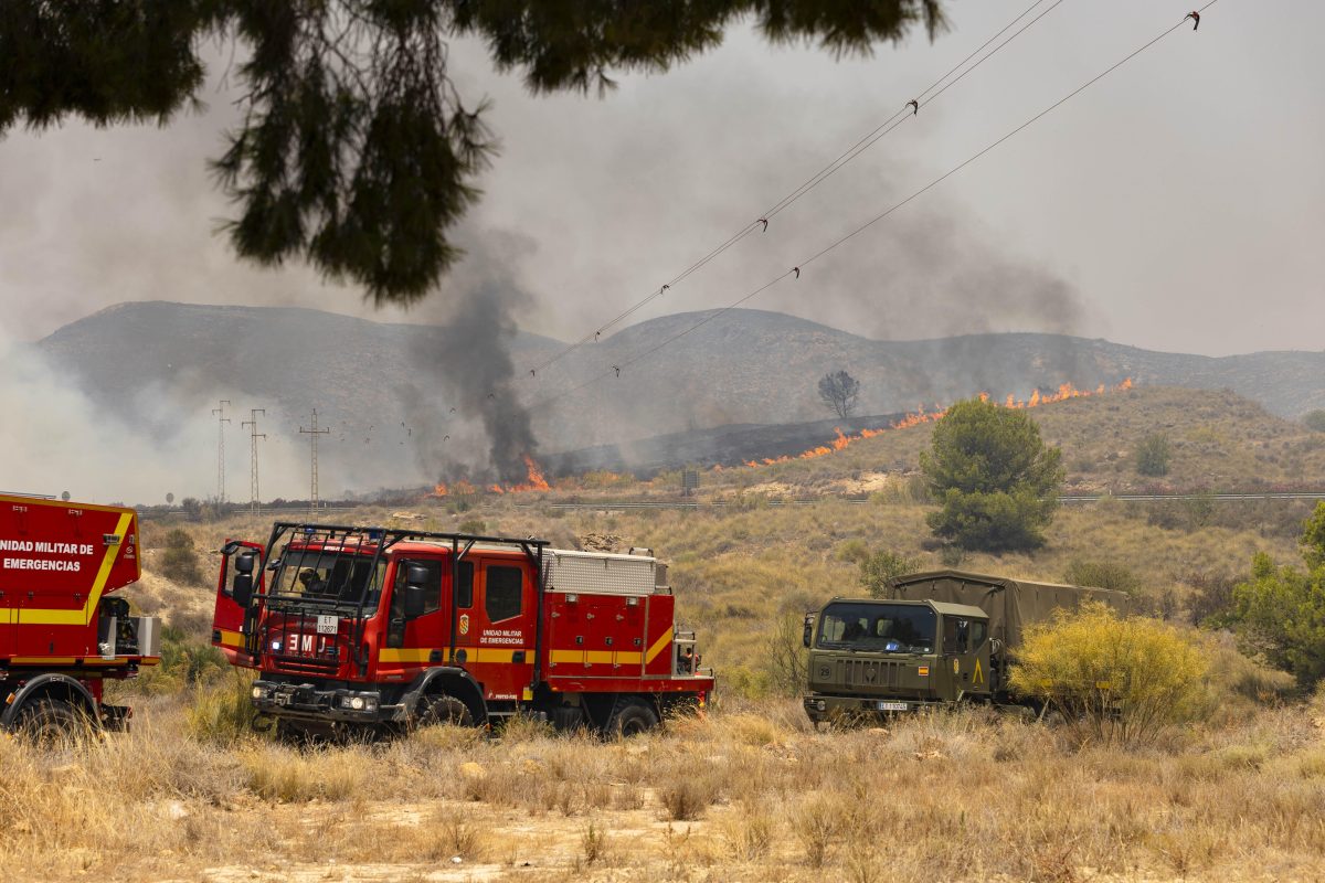 ALMERIA, SPAIN - JULY 10: Flames smoke rise from the forest fire while evacuation and firefighting efforts continue in the Los Gallardos district of Almeria, Spain on July 10, 2026. At least 12 people were killed in a forest fire that broke out Thursday in Los Gallardos municipality in Almeria province in SpainÄôs southern Andalusia region, broadcaster RTVE reported. According to AndalusiaÄôs emergency services, the victims were found in a hamlet of the neighboring municipality of Bedar, with some discovered inside vehicles engulfed by the flames. Chema Artero / Anadolu