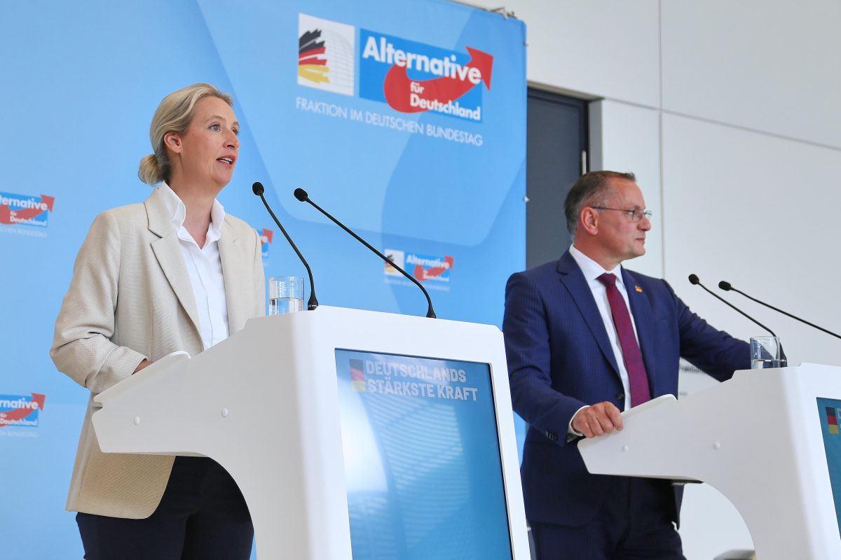 Nouveaux sondages : l'AfD atteint des sommets en Allemagne
