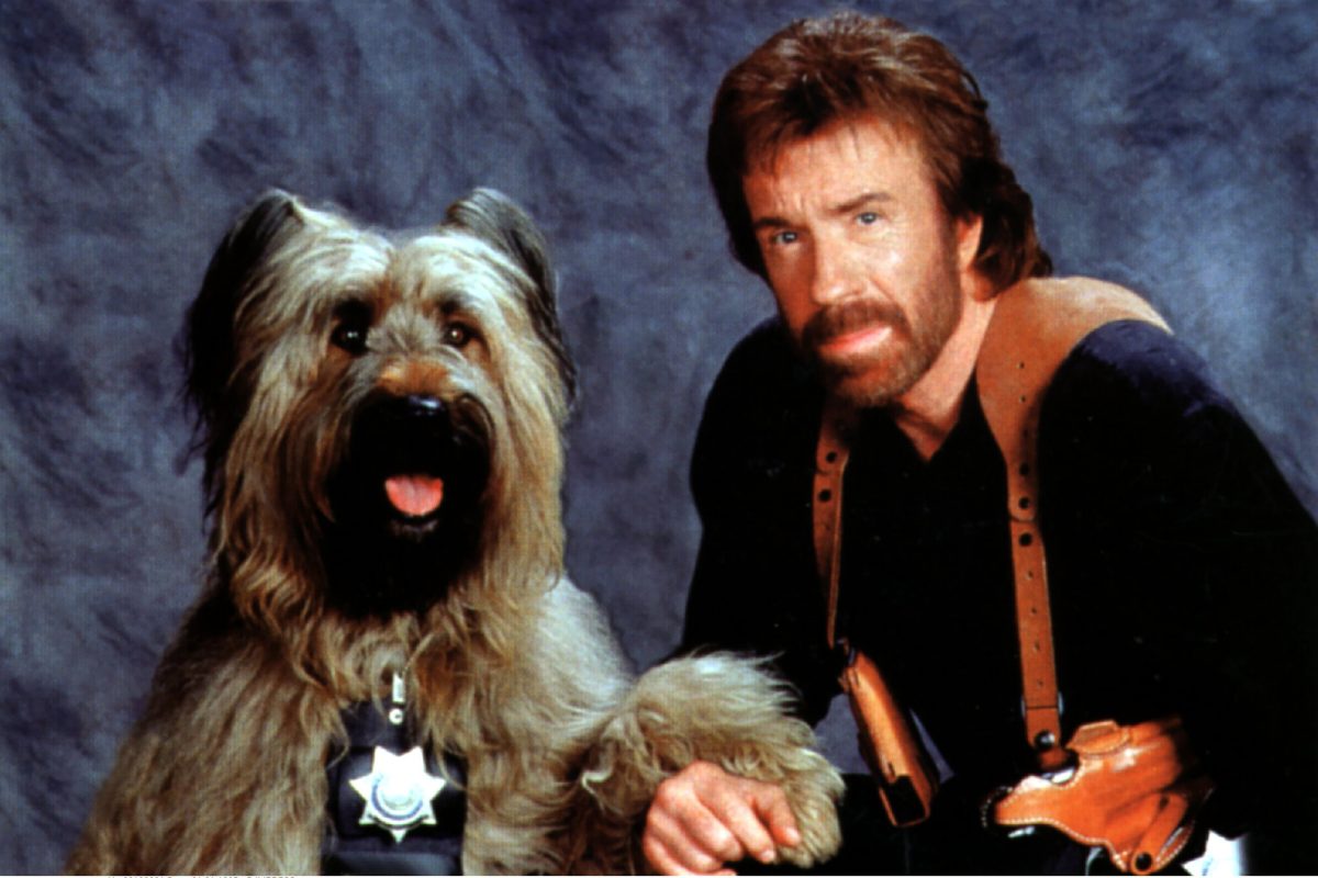 Chuck Norris s'est éteint à 86 ans : adieu à la star de "Walker, Texas Ranger"