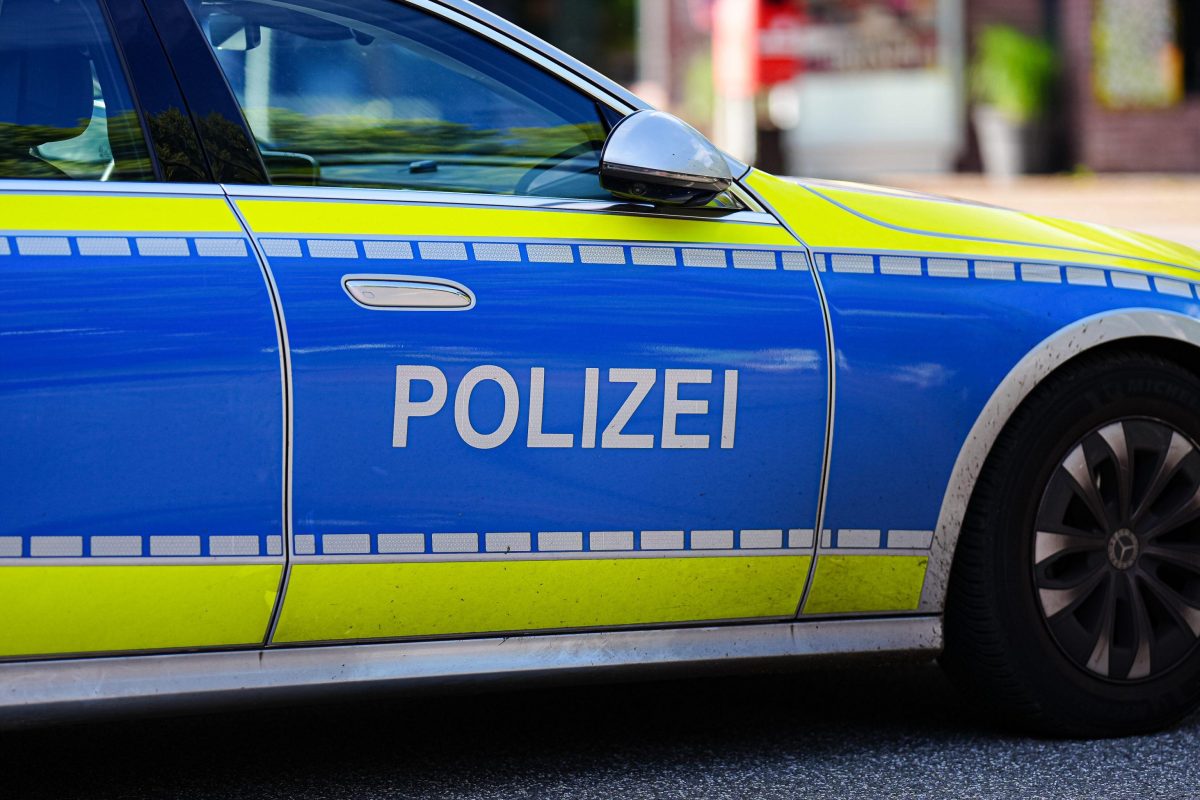 Family finds hundreds of human bone fragments in garden in Germany