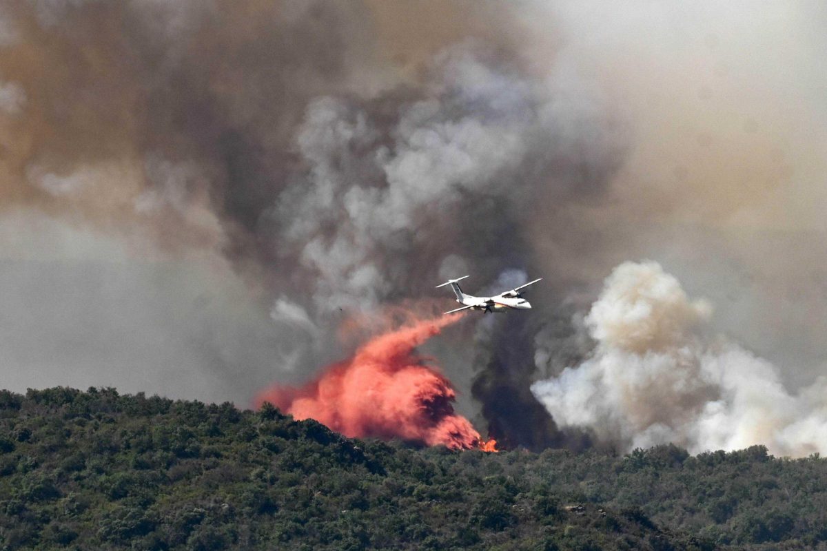 Arrestation de 2 hommes soupçonnés d'avoir provoqué des incendies de forêt en France