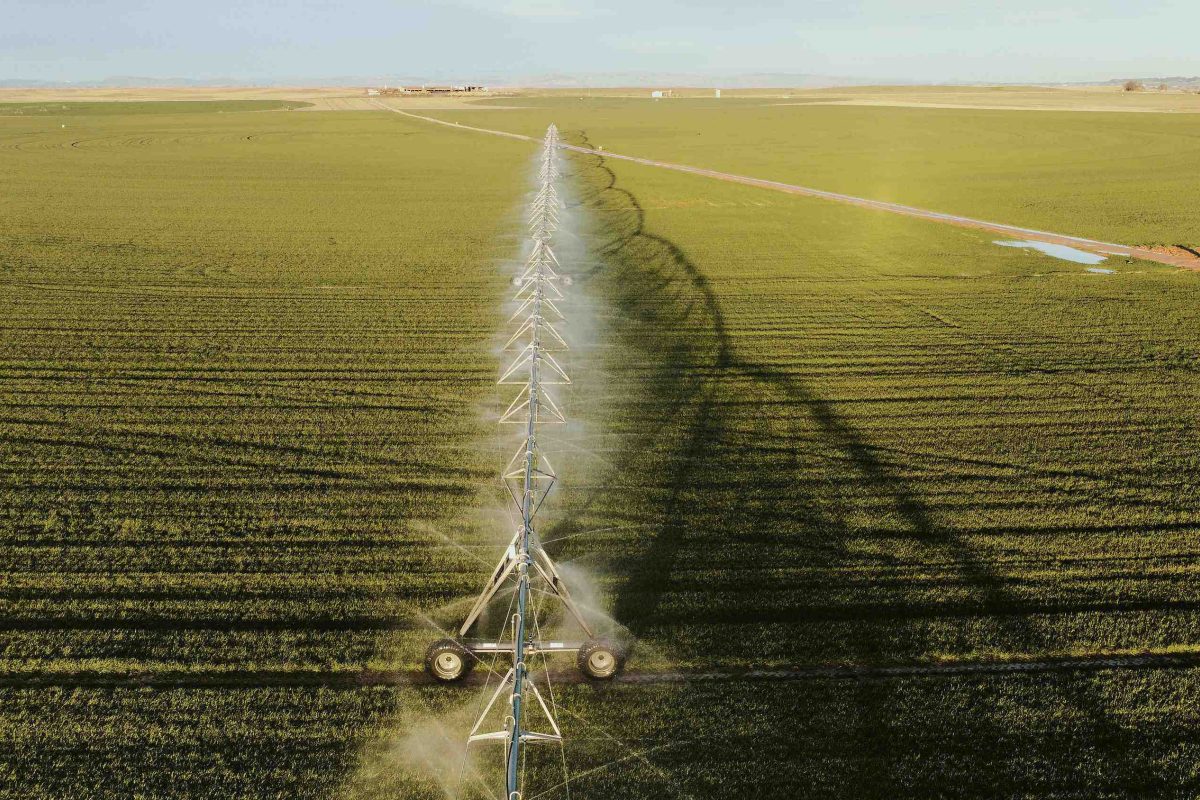 Les Émirats arabes unis reçoivent des millions en subventions agricoles européennes