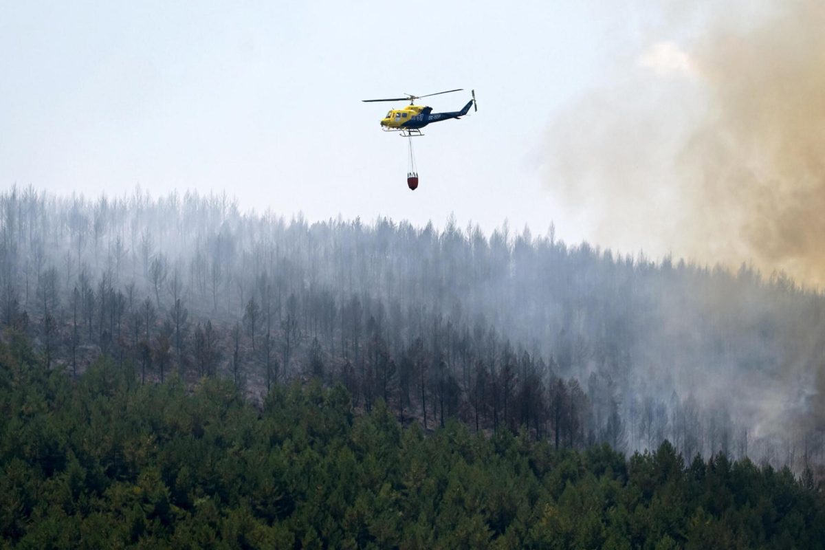 11 dead, believed to be tourists, in wildfires in Andalusia