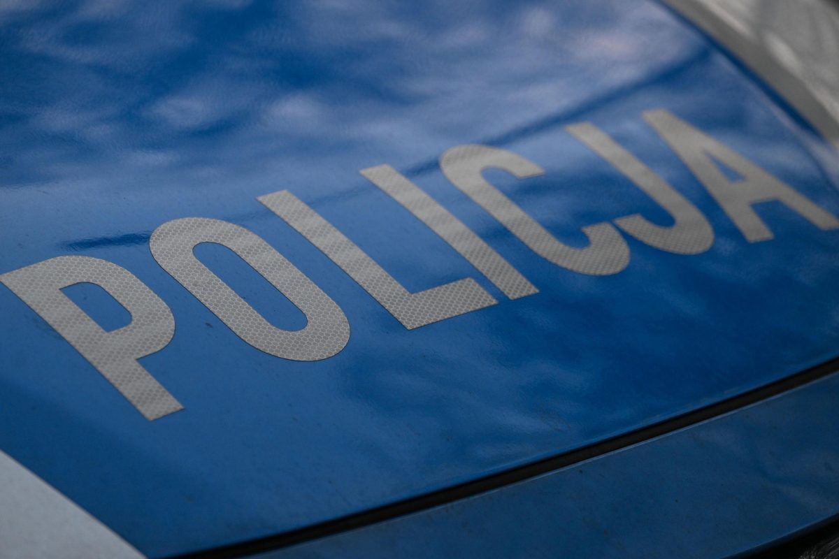 Les restes de plus de 30 fœtus découverts dans un jardin en Pologne