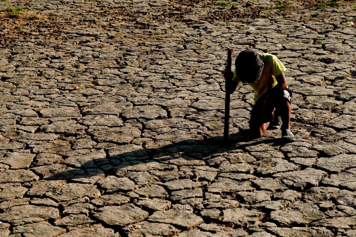 Chance of new El Niño rises to 82 percent