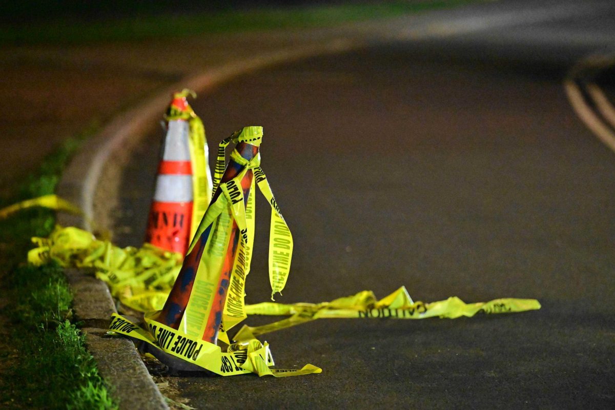 Toerist (18) komt om in New York als paard van koets op hol slaat