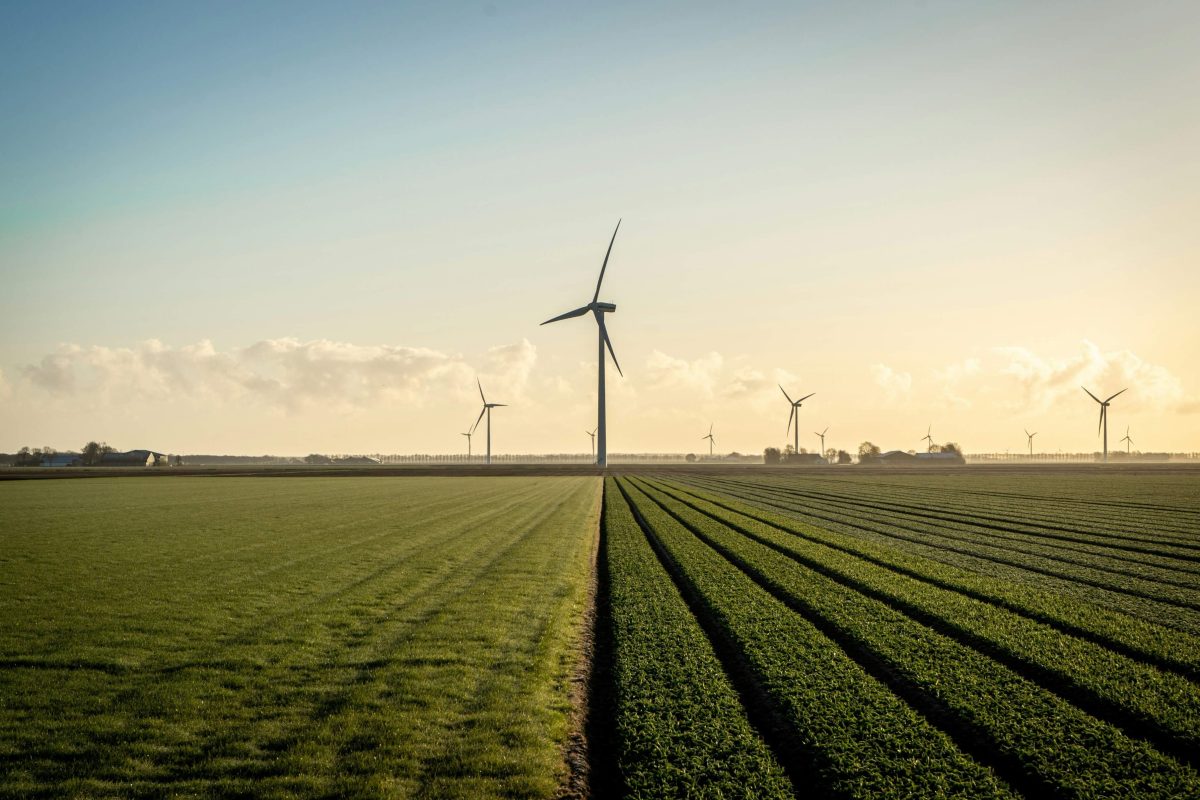 26 januari, Internationale Dag van de Schone Energie