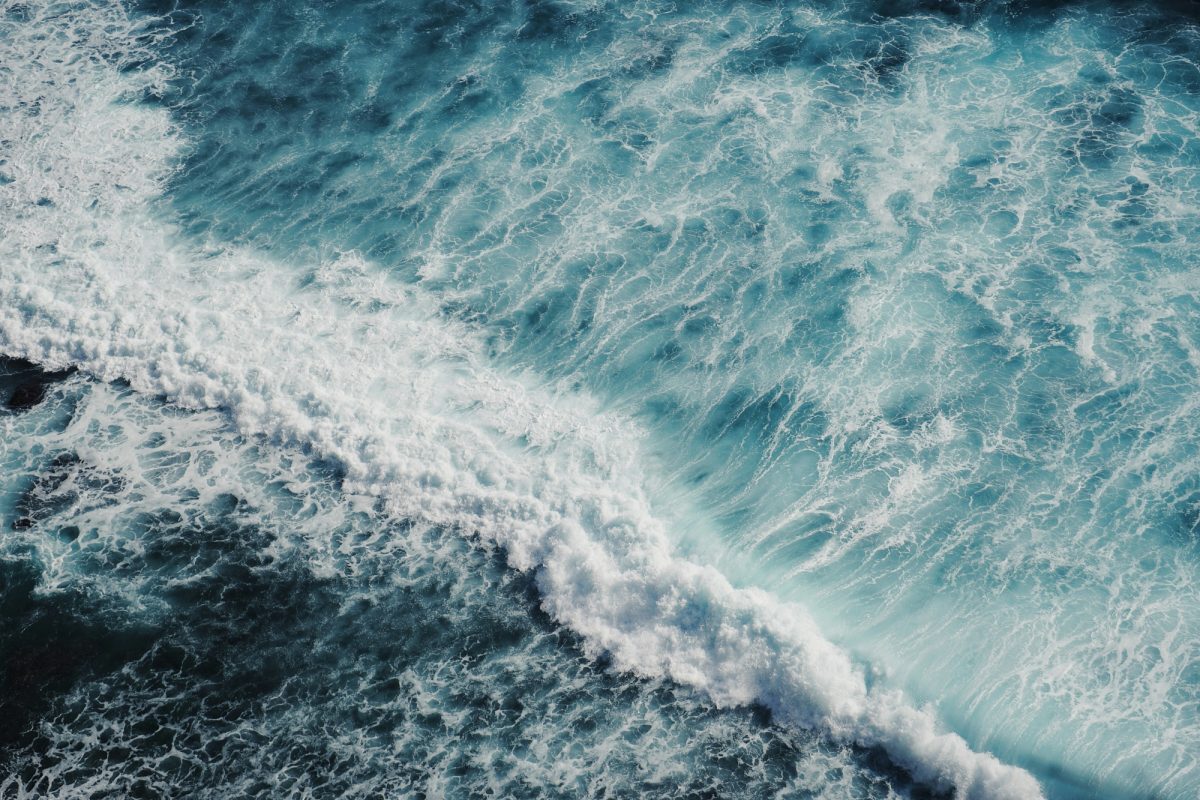 Découverte d’une créature de 300 ans "absolument énorme" dans les fonds marins