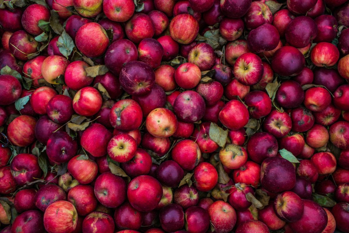 85 % des pommes testées en Europe contaminées aux pesticides