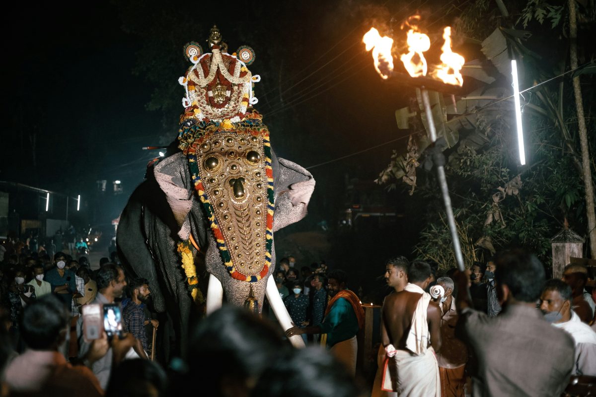 Inde : un éléphant se libère de ses chaînes et tue un homme pendant une cérémonie religieuse