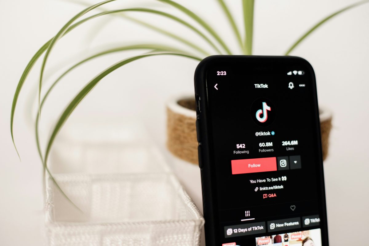 Des utilisateurs suppriment TikTok après l'accord avec la Maison-Blanche : "La fin d'une époque"