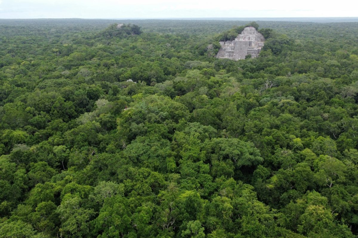 Le Guatemala dit stop au pétrole pour sauver la forêt maya