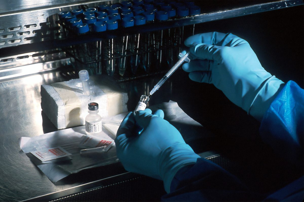 Avancée majeure en immunothérapie : un espoir qui va bien au‑delà des patients atteints de cancer
