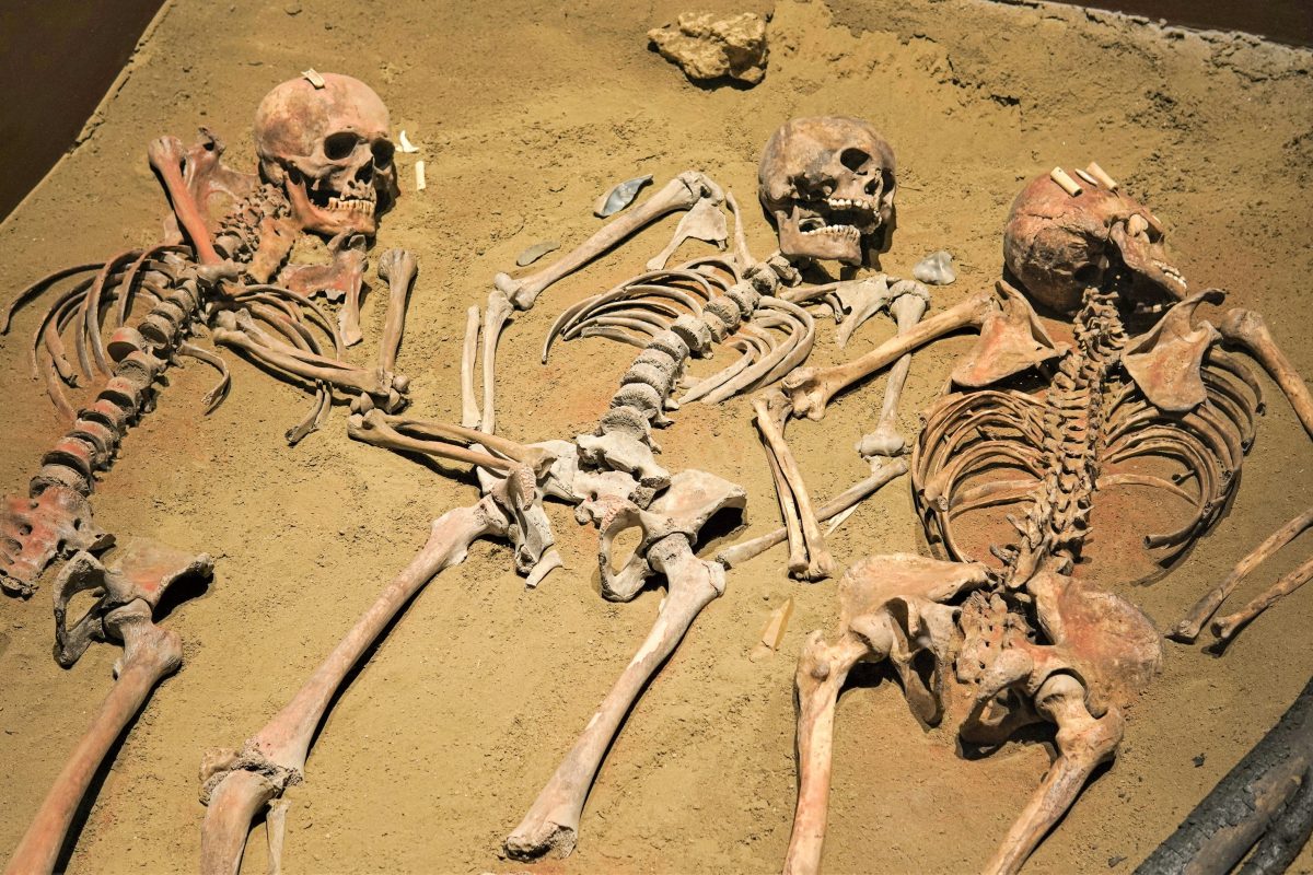 Het paringsspel: Nieuwe DNA‑studie toont dat vrouwelijke mensen vaak kruisten met mannelijke Neanderthalers