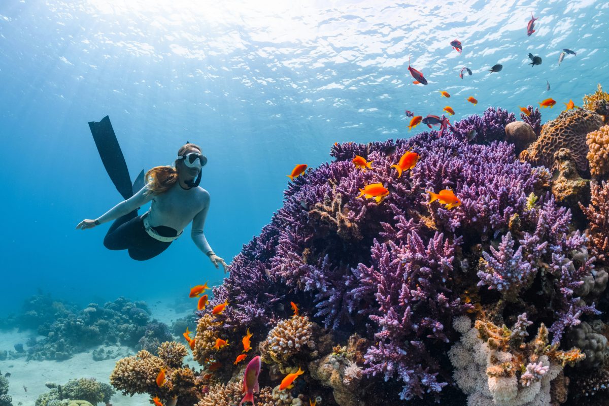 Great Barrier Reef ontloopt voorlopig UNESCO-lijst van bedreigd erfgoed