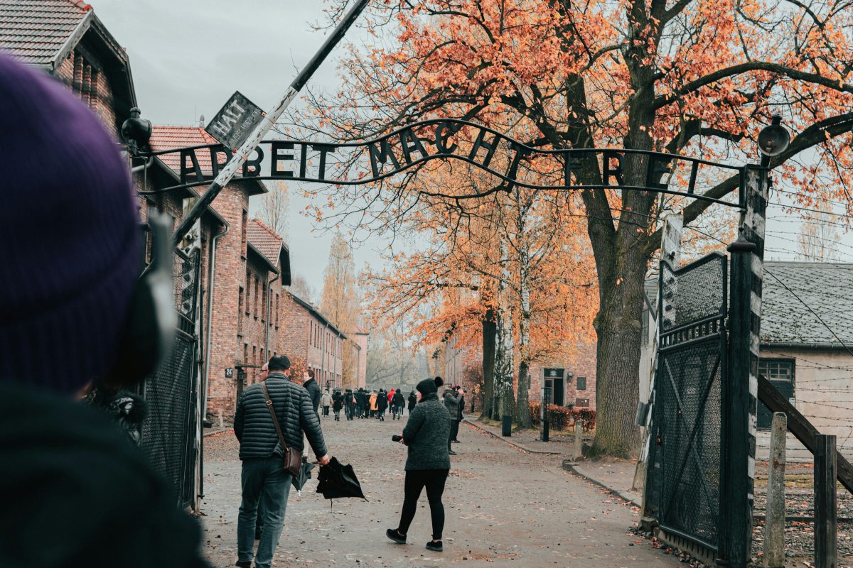 Pays-Bas : TikTok et l'IA propagent une vague de désinformation sur l'Holocauste dans les écoles