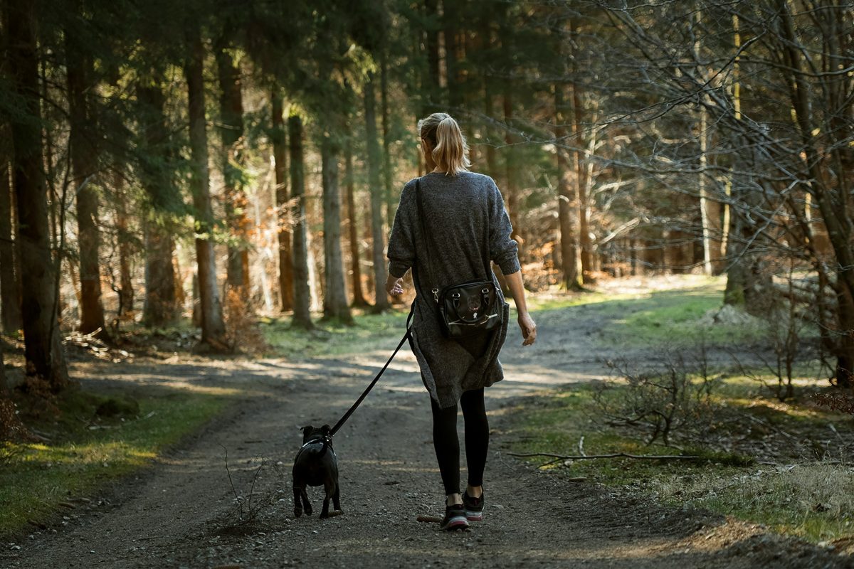Durée des promenades: des vétérinaires révèlent le temps idéal selon l’âge de votre chien