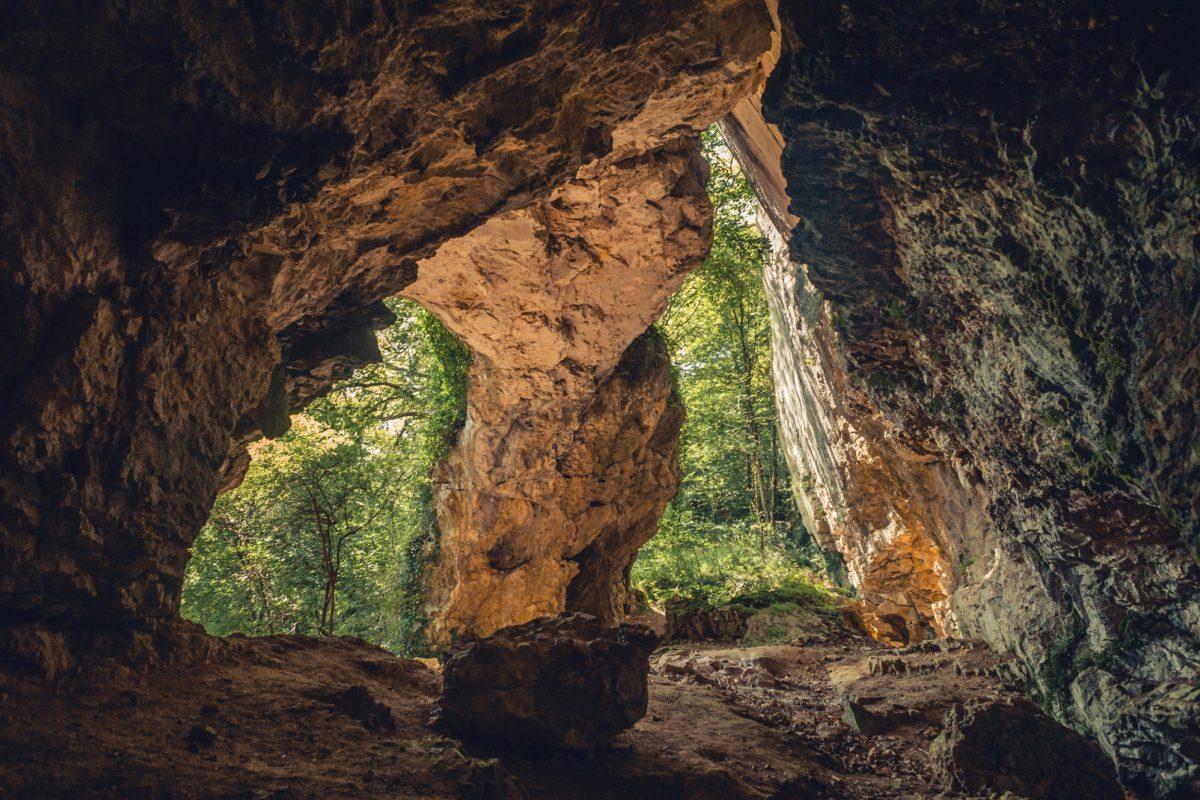Découverte de la plus ancienne peinture rupestre : une main vieille de 67 800 ans